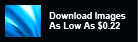 Download Images for Your Website